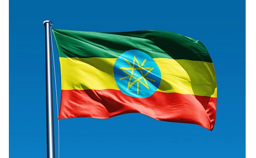 Эфиопо-Российский торгово-инвестиционный форум